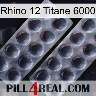 Rhino 12 Titanium 6000 31